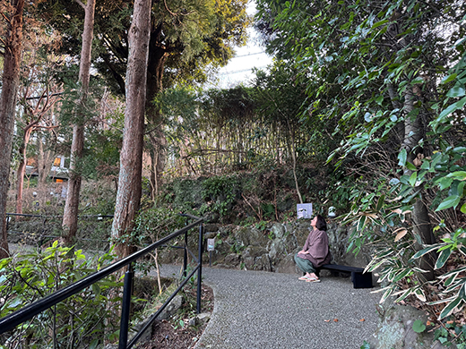 月見のベンチが出来ました